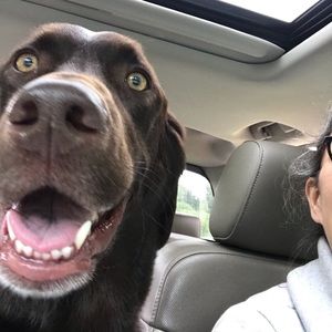 Meet your Posher, Angel